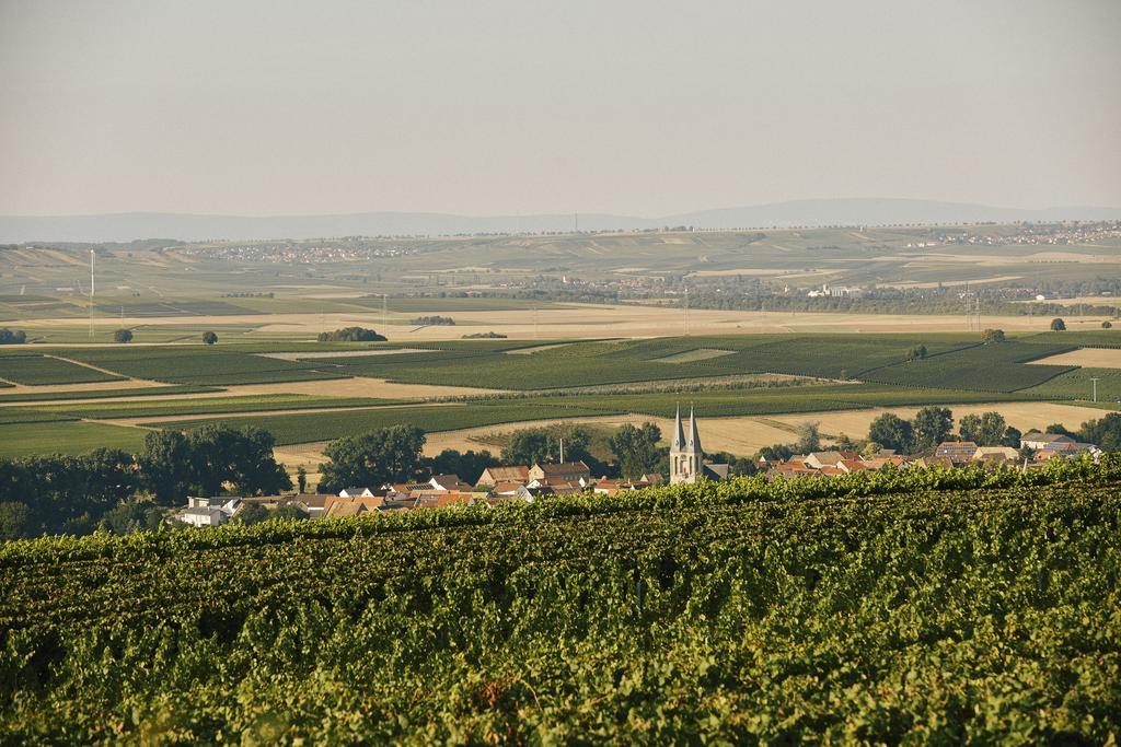 Meyerhof - Bioweingut, Vinothek & Gaestehaus Flonheim Buitenkant foto