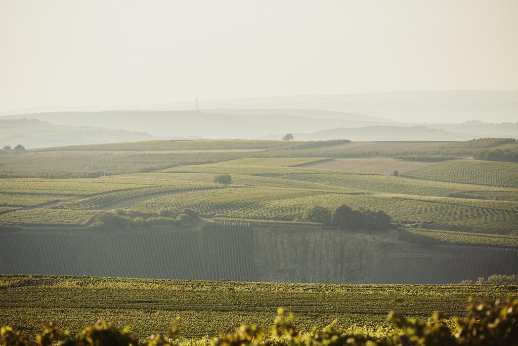 Meyerhof - Bioweingut, Vinothek & Gaestehaus Flonheim Buitenkant foto